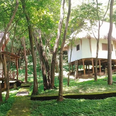 Tuani Ecolodge Тола Екстериор снимка