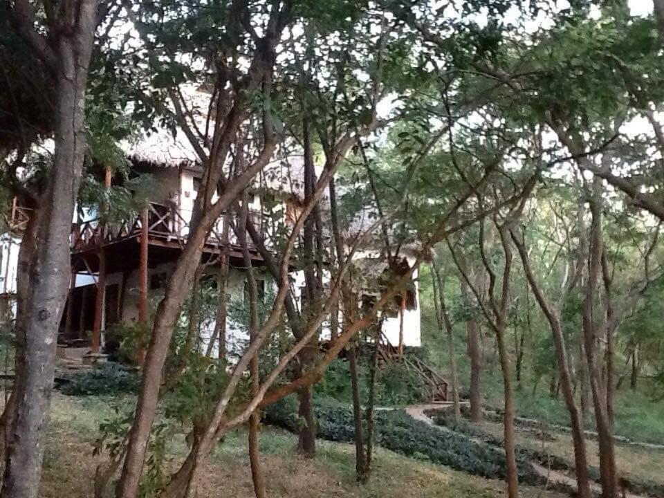 Tuani Ecolodge Тола Екстериор снимка